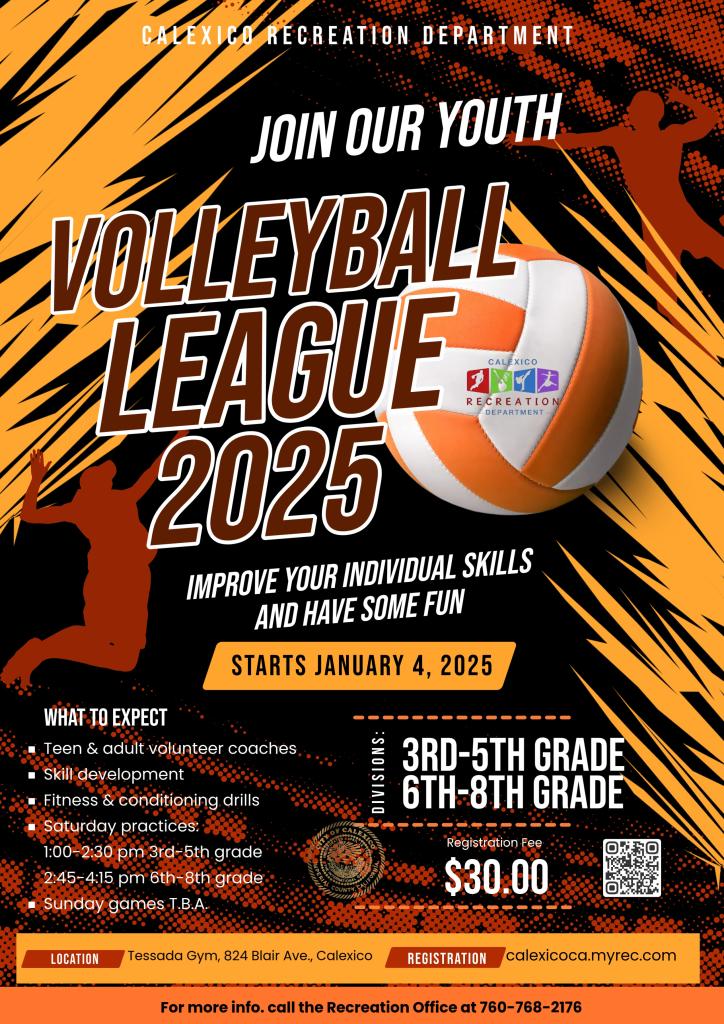 Volleyball League 2025