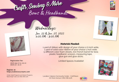 Crafts Sewing and more-Bows and headbands