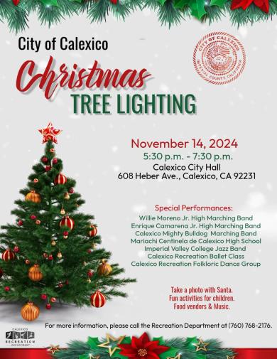 Christmas Tree Lighting