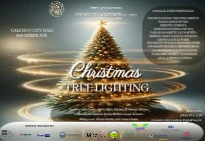 Christmas Tree Lighting