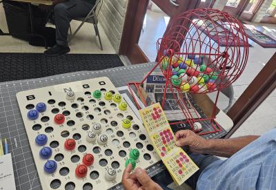 Bingo Bingo