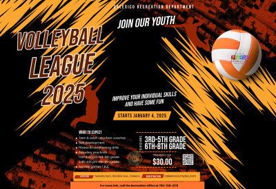 Youth Volleyball League