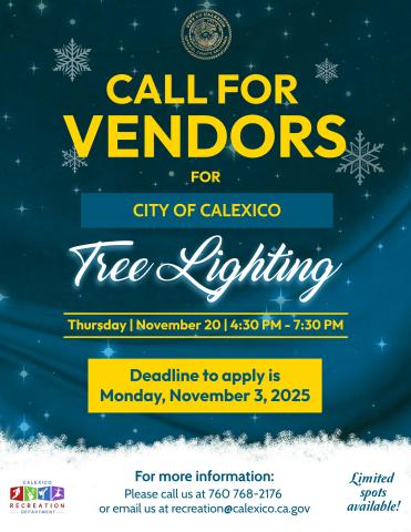 Christmas Tree Lighting