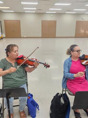 Violin
